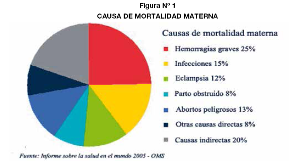 Cuánto Cuesta un Aborto en Bolivia