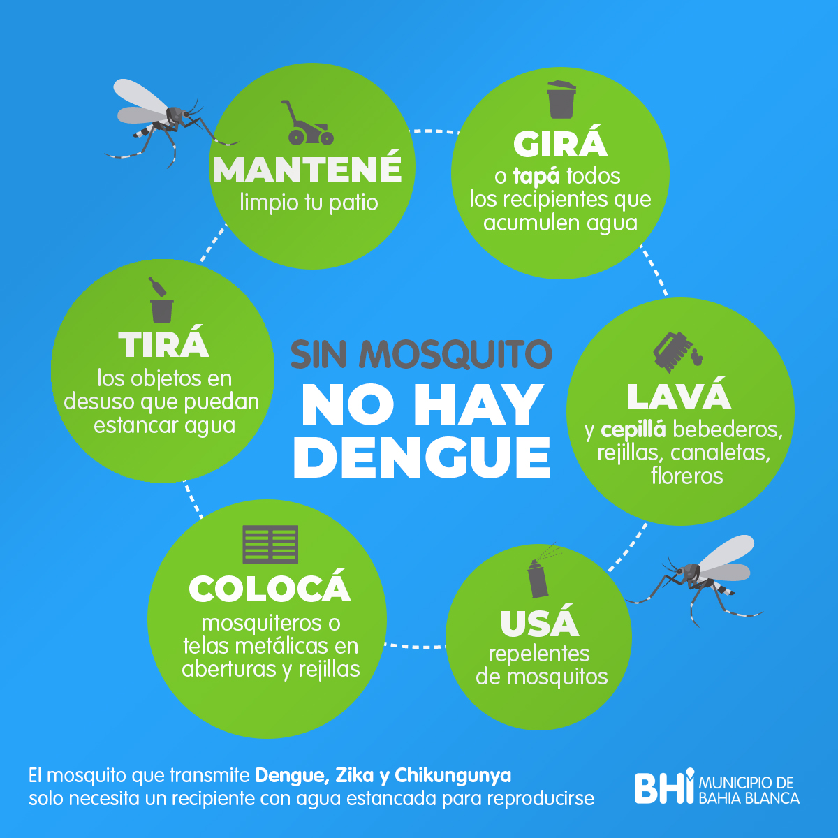 C MO PREVENIR EL DENGUE C MO PREVENIR EL DENGUE